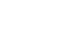 logo unudi